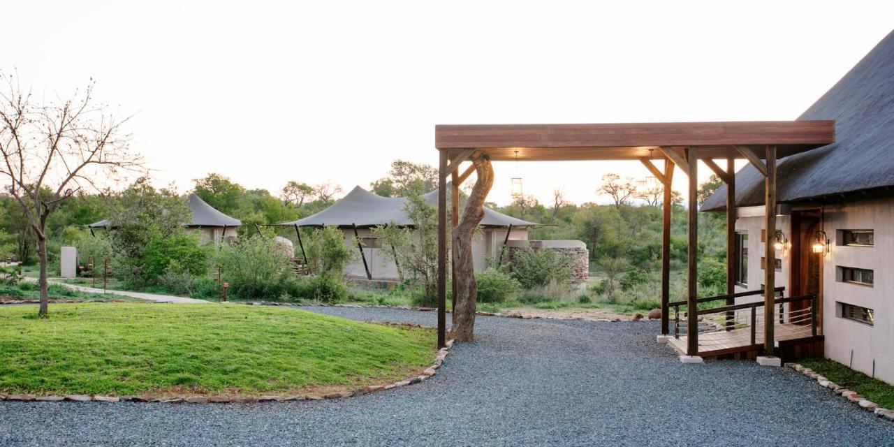 Thabamati Luxury Tented Camp Timbavati Game Reserve Zewnętrze zdjęcie